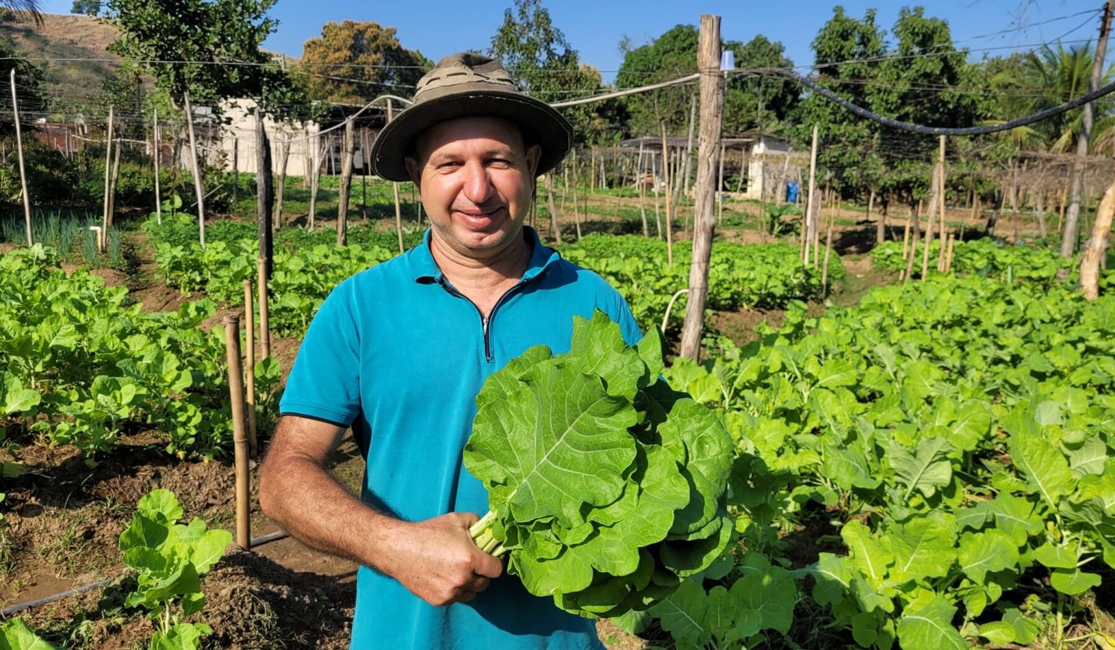 Roças de agricultores do Mendanha — Polo Turístico do Mendanha