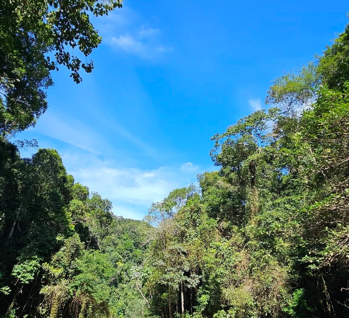Cachoeira do Mendanha — foto 1